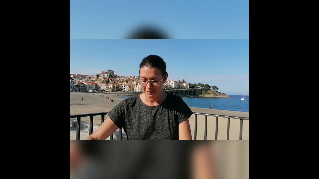 Vendanges en Fête 2021 : Instructions for use