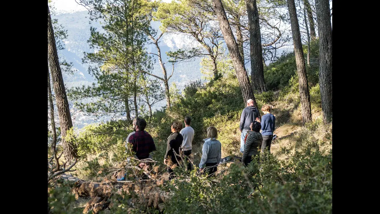 les balades de charlotte : séjours, immersion et visites nature dans le var/provence