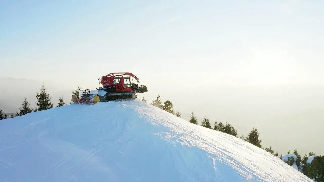 le métier de dameur