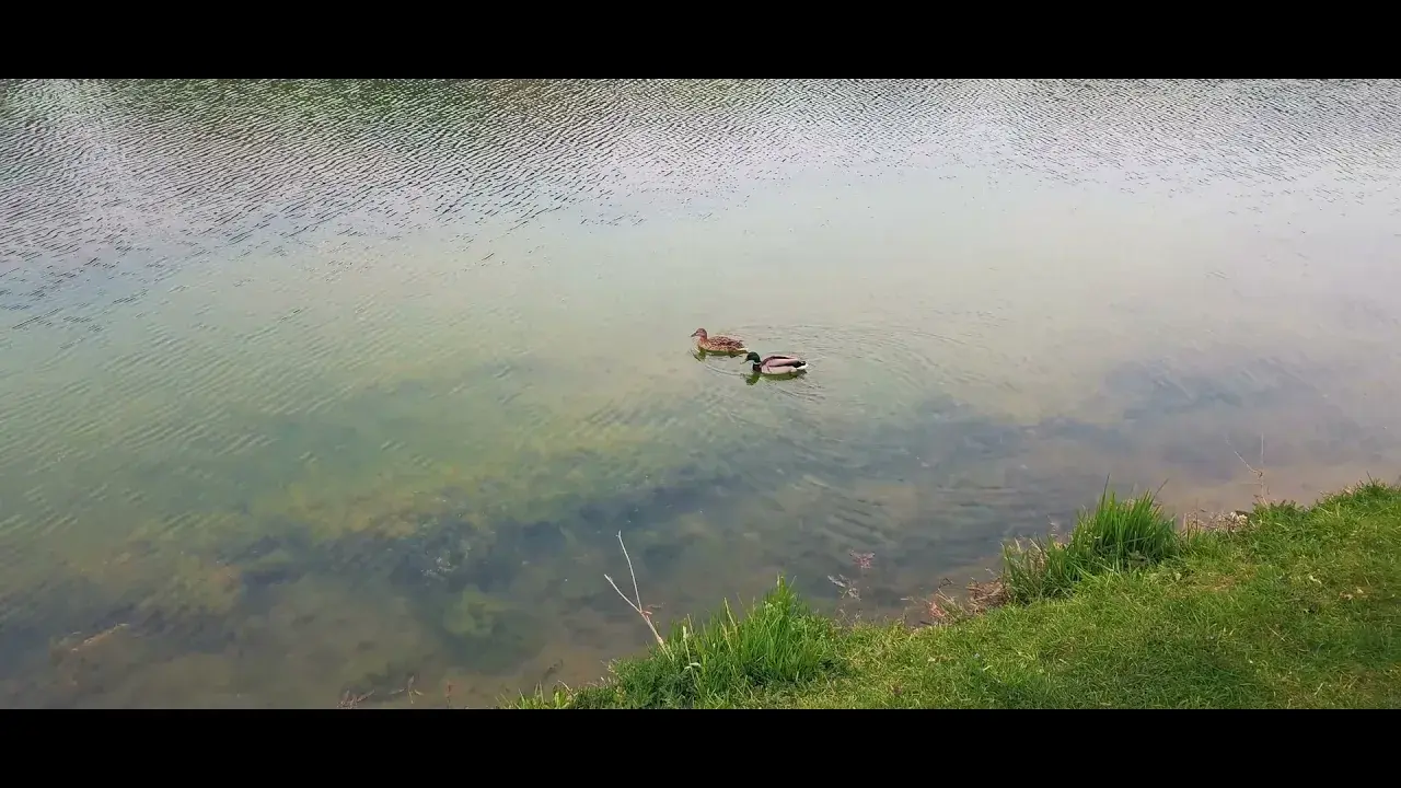 Mamers - Petite Cité de Caractère