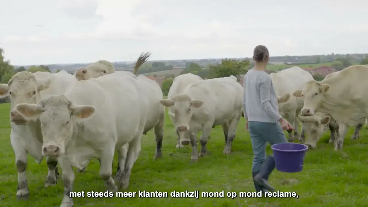 Boeschèpe : Elevage Gombert