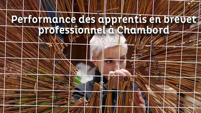 des créations florales de noël pour le château de chambord