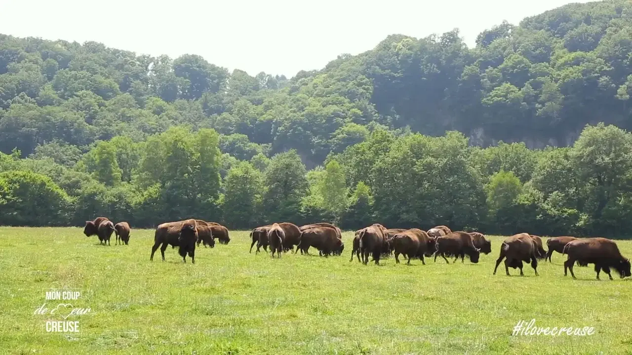 Coup de Coeur Creuse : Christiane Delhumeau