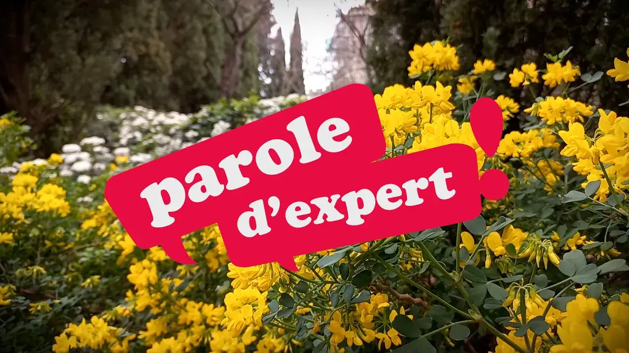 Parole d'expert : visite des jardins de l'abbaye Saint-André