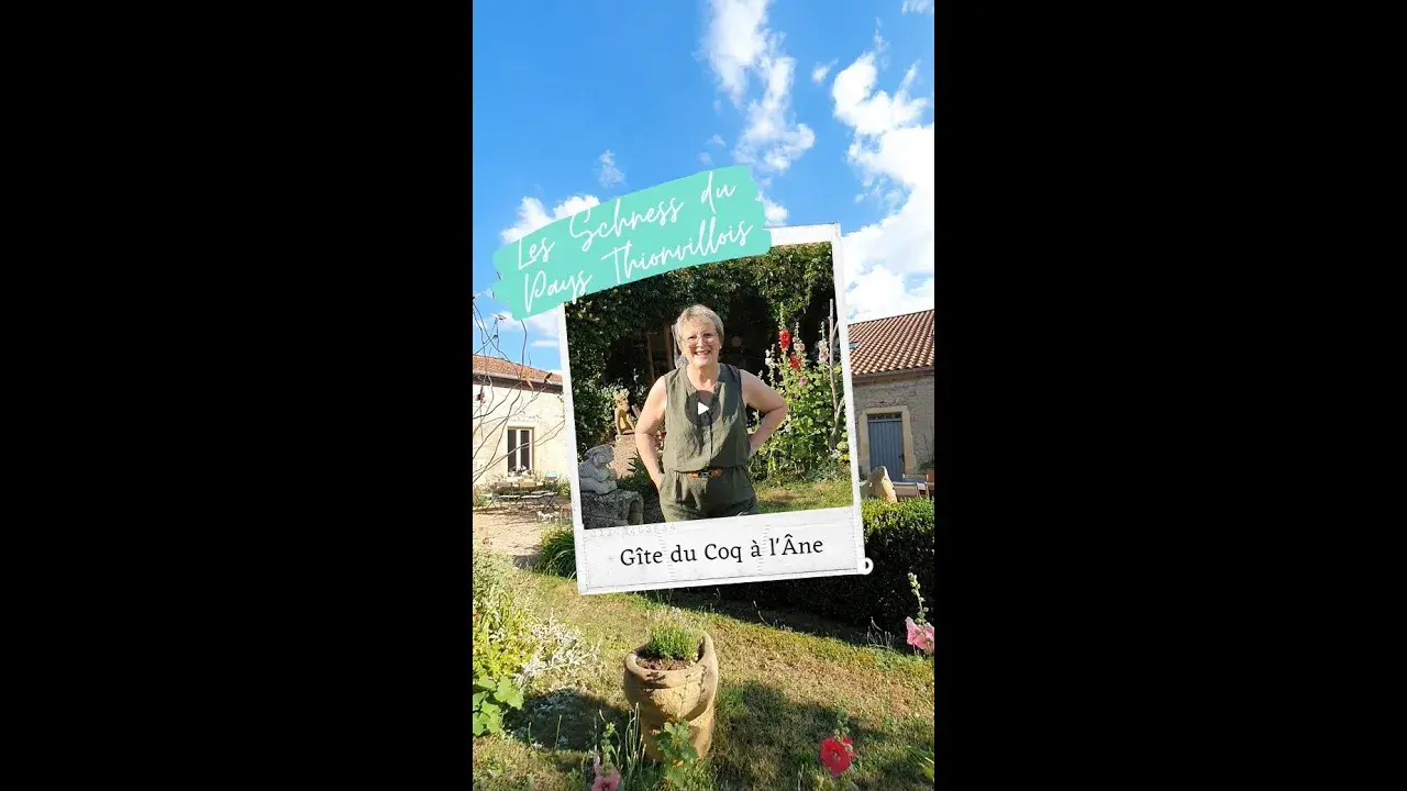 Les Schness du Pays Thionvillois - Gîtes Du Coq à l'Âne