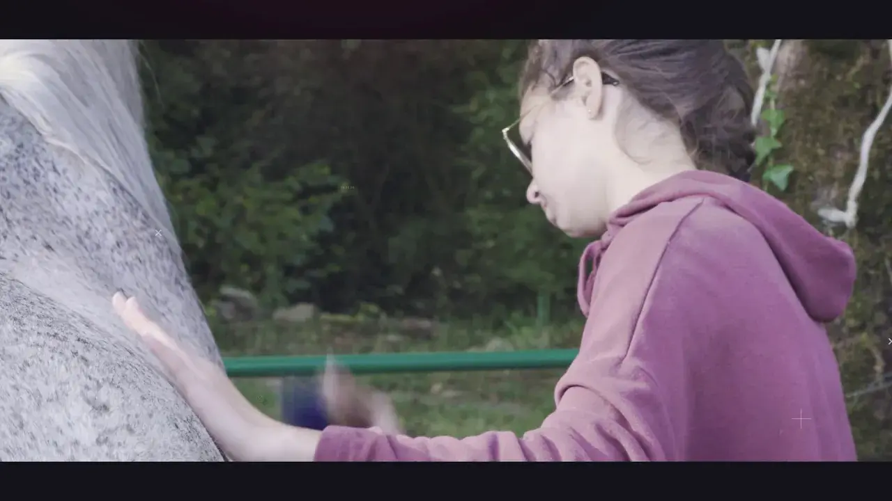 Randonnée équestre en Vallée du Lot et du Célé