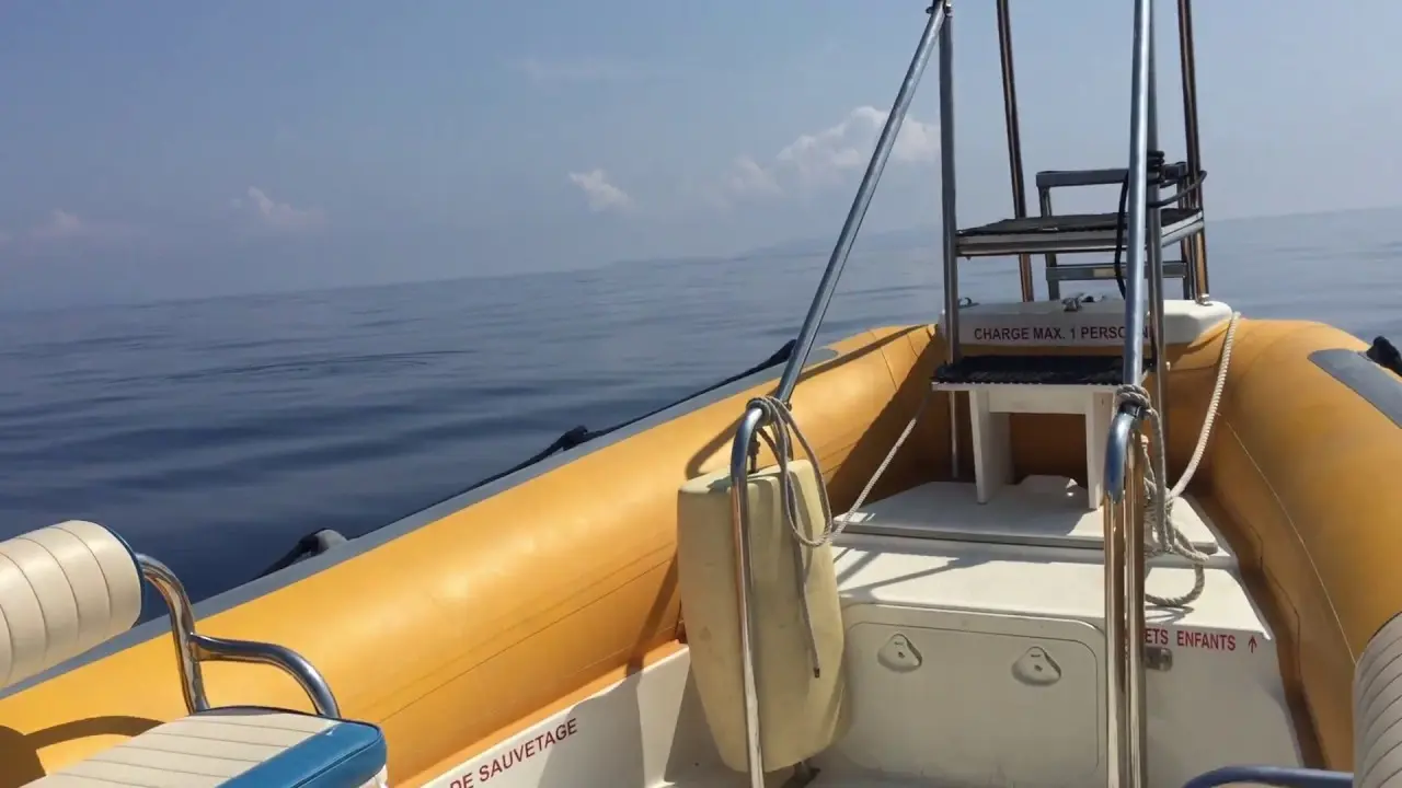 danse avec les globicéphales de méditerranée (captain baleines).