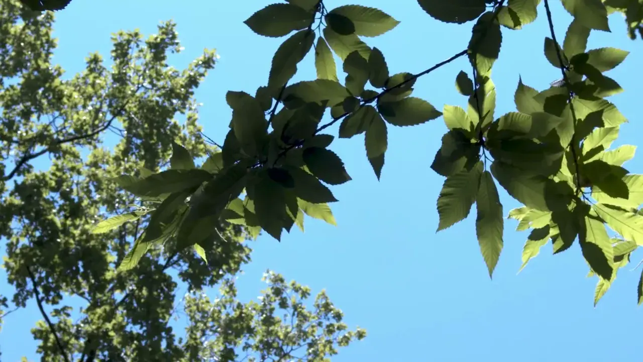 Titre de la vidéo manquant