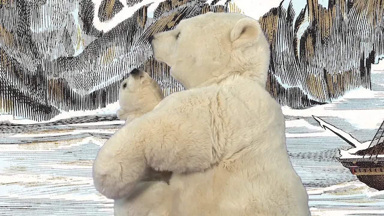 Automats made in Terroir de Caux