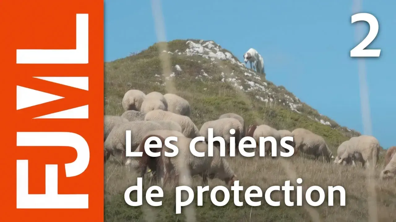 Fietsen en hardlopen :