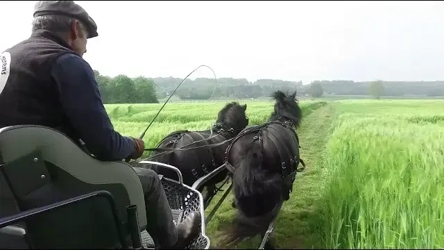 La Sarthe, paradis des cavaliers et des chevaux.