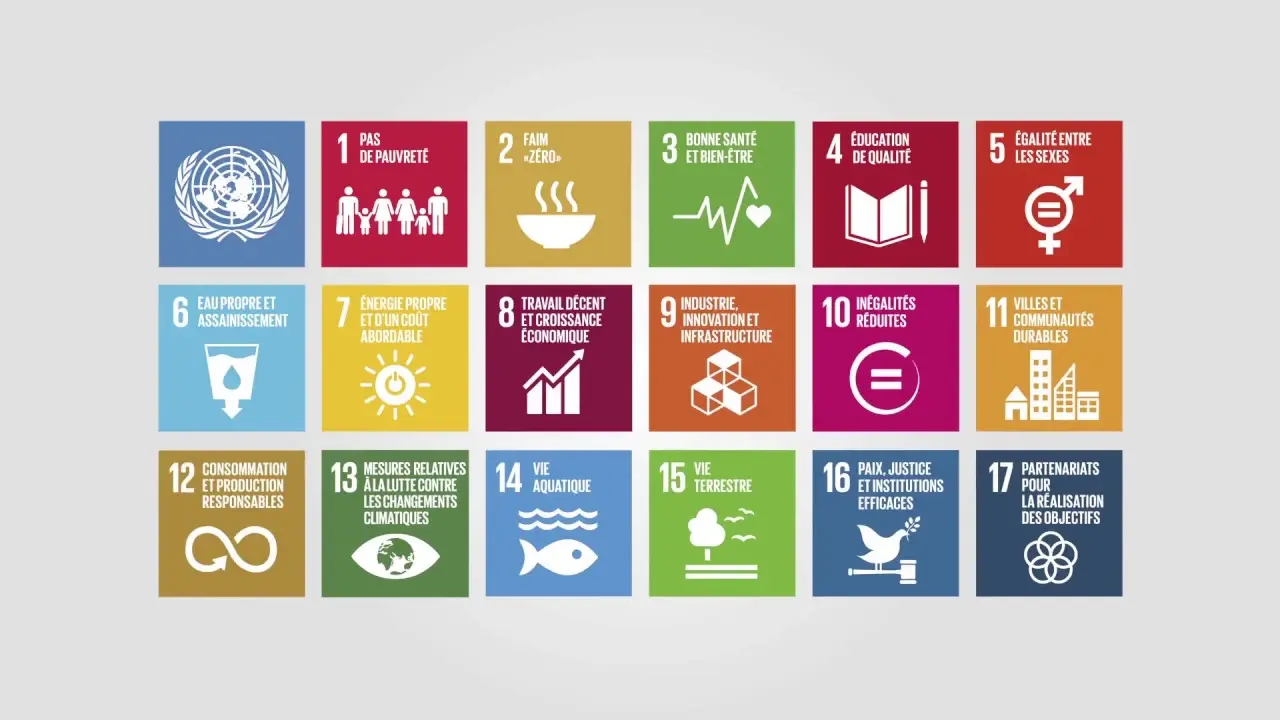 Comprendre les objectifs de développement durable