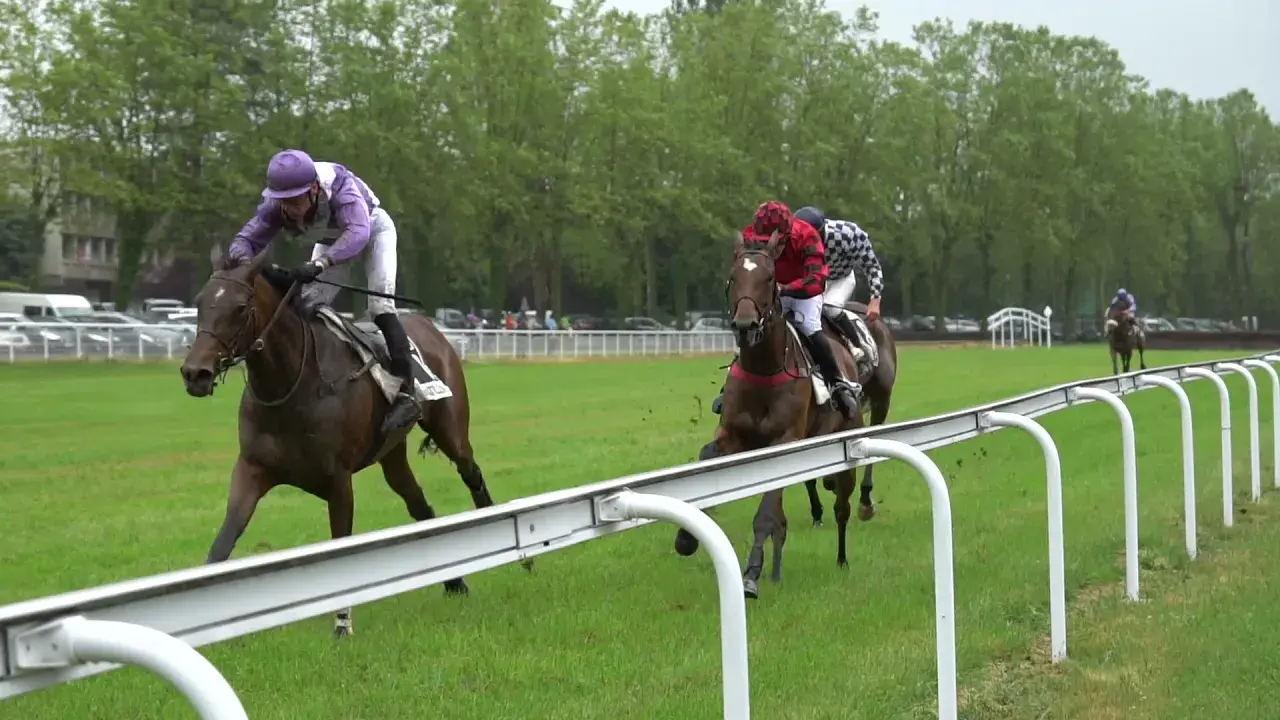 Courses hippiques à Châtillon-sur-Chalaronne