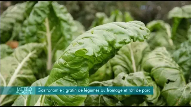 reportage 'météo à la carte' à la maison (france 3 - 2024)