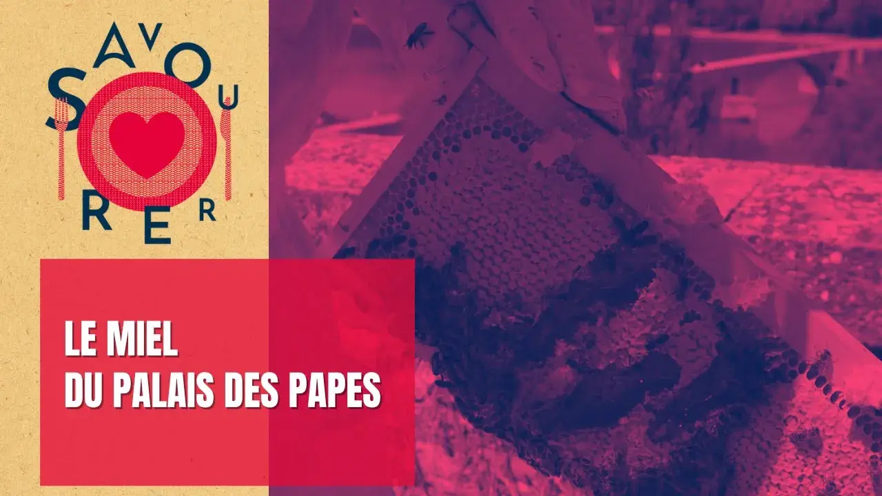 Le miel du Palais des Papes