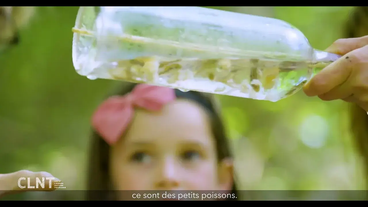 Une parenthèse verte...