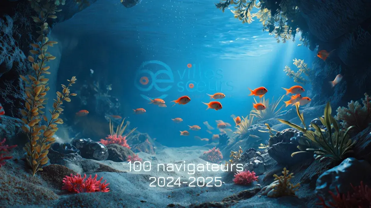 100 navigateurs 2024-2025