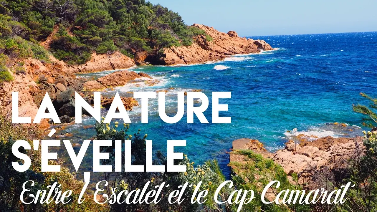 quand la nature s'éveille