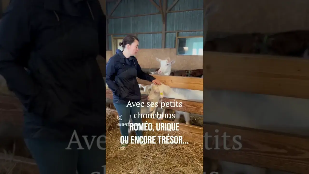 Visite de la Chèvrerie La Petite Caulette