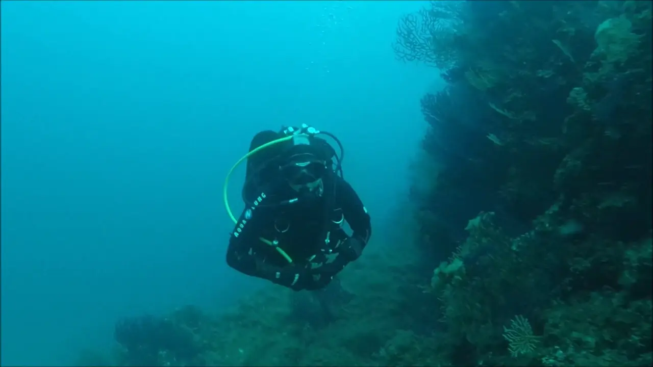 le sec du langoustier en plongée