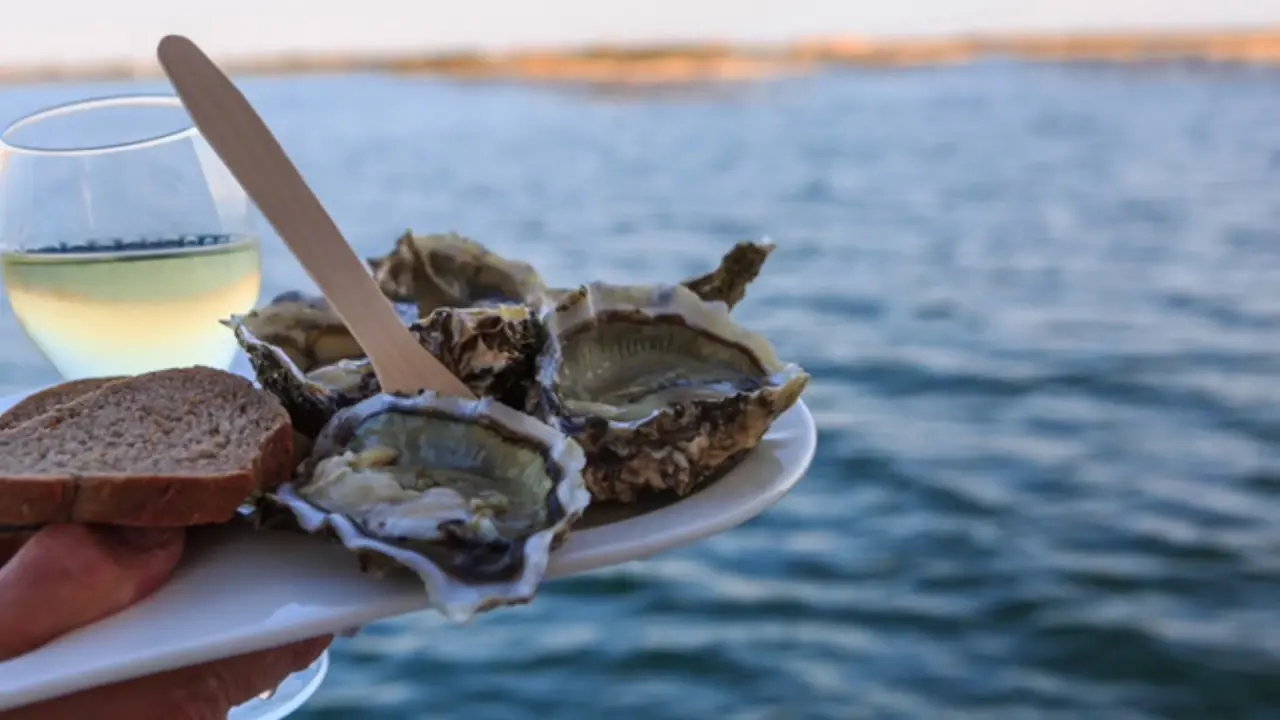 leucate evasion marine