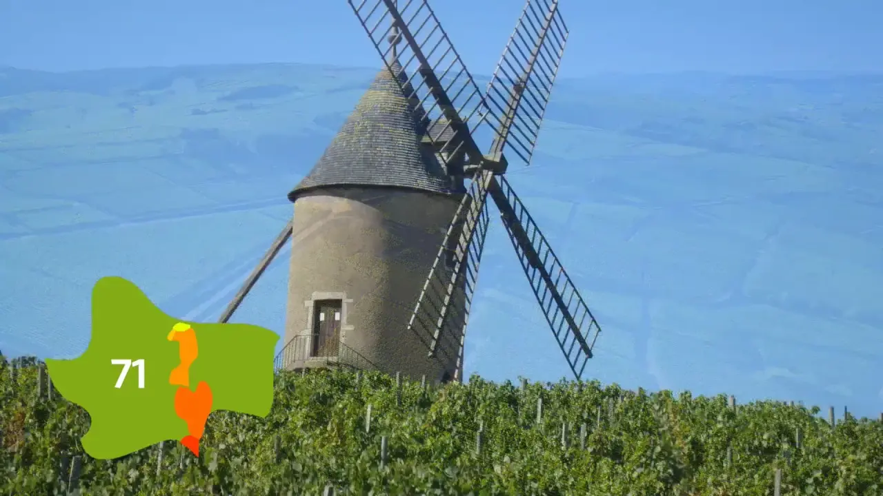 Le label Vignobles & Découvertes en Saône-et-Loire