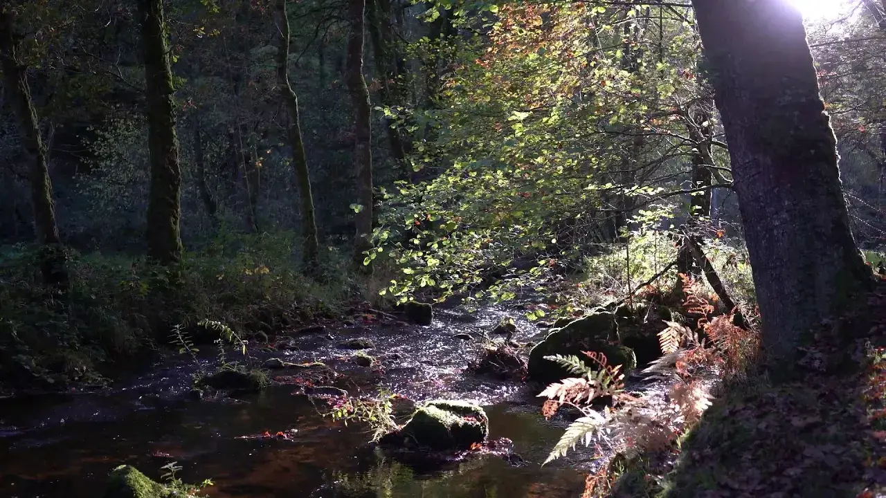 A la découverte des gorges du Verger à Bourganeuf.