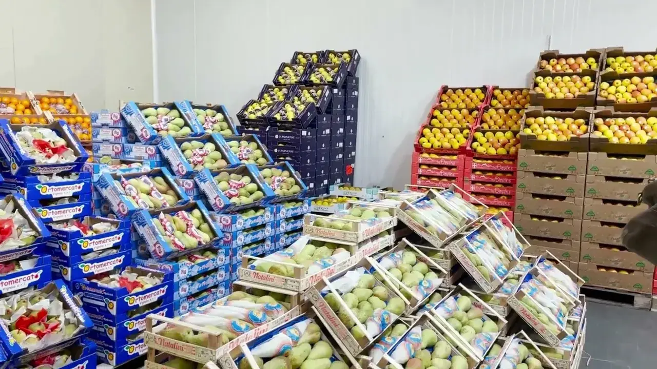 visite exclusive du m.i.n des arnavaux