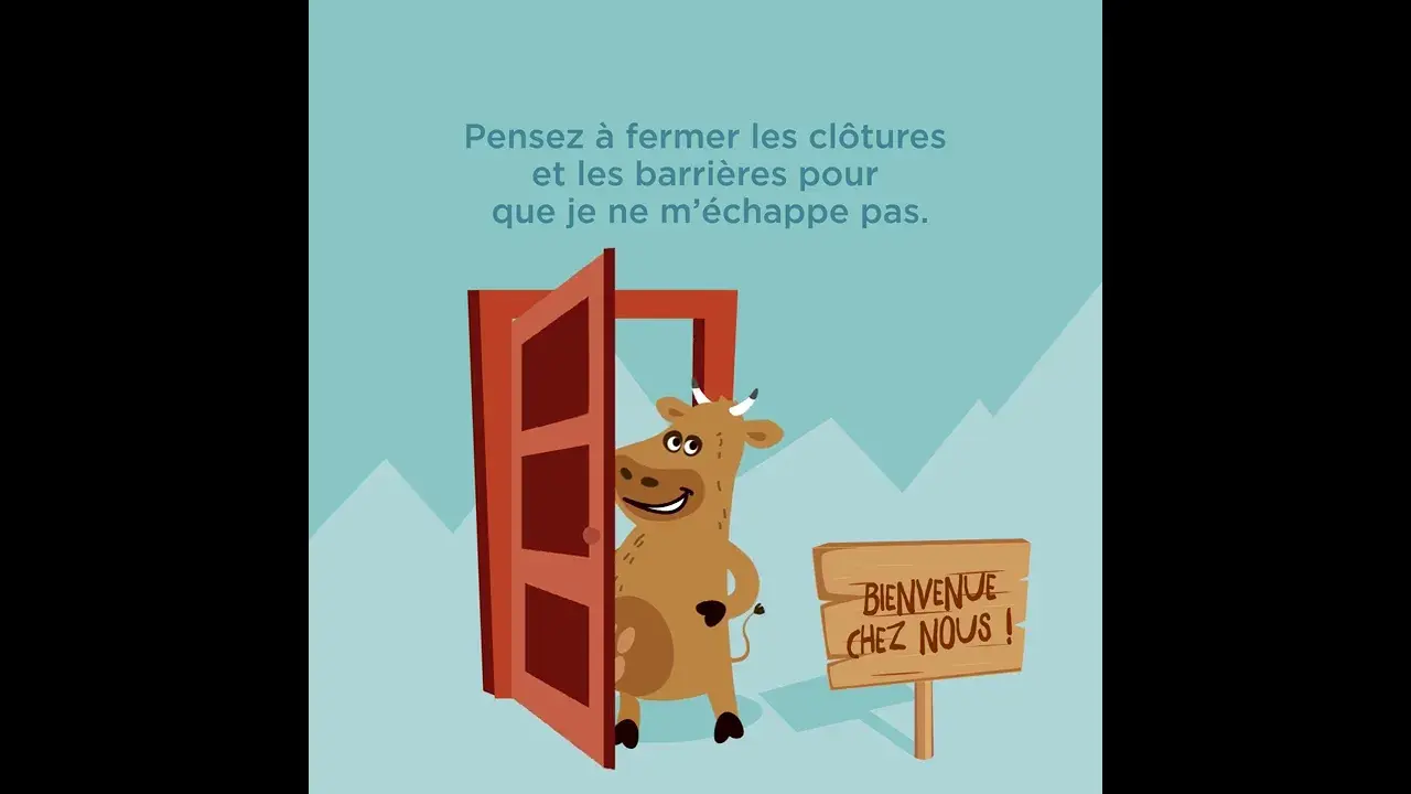 La montagne... respect !