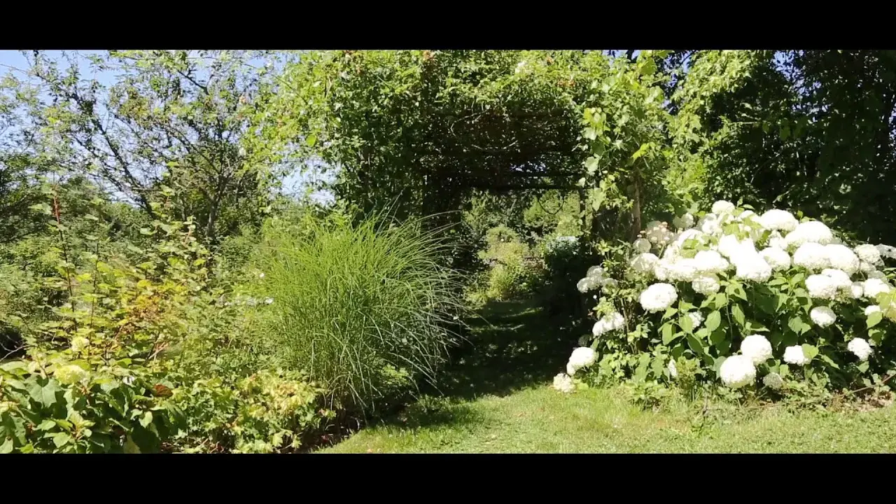 Jardin de la Sagne - Aulon (23)
