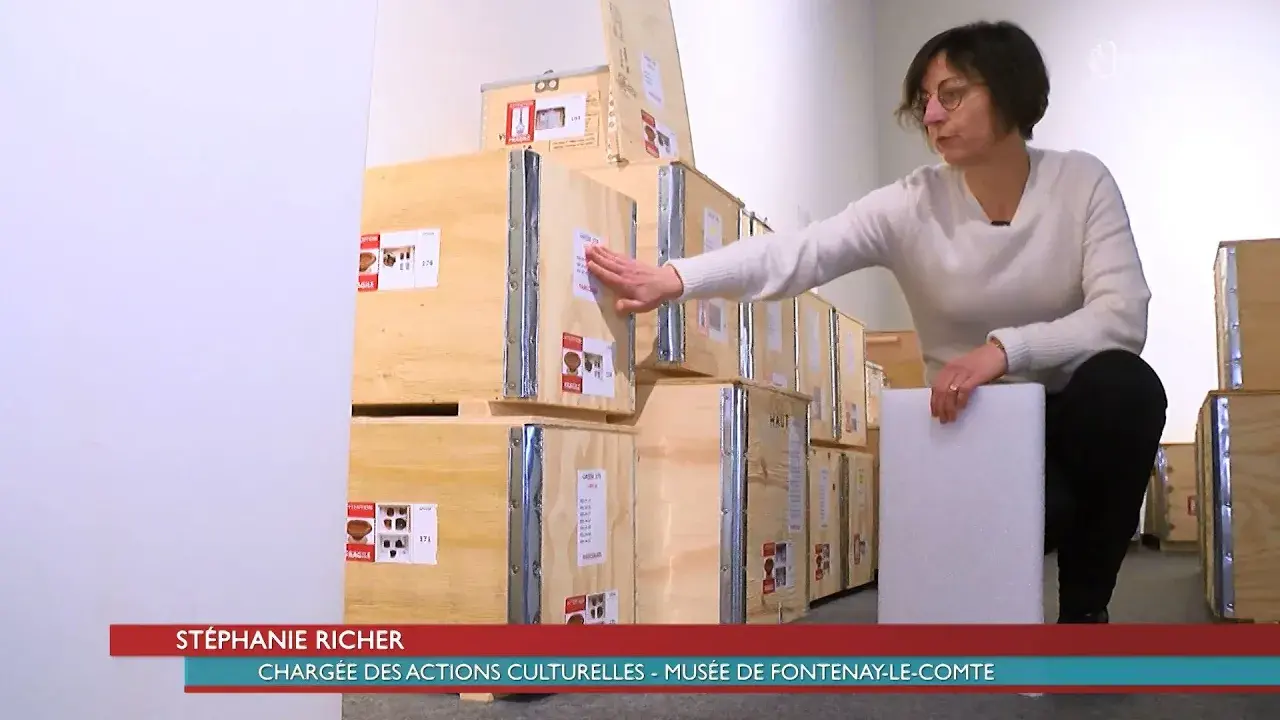 Dans les coulisses des collections du musée de Fontenay-le-Comte