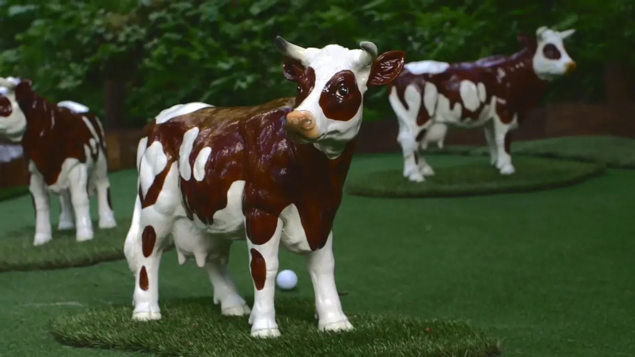 teaser pulse activity lac de montriond