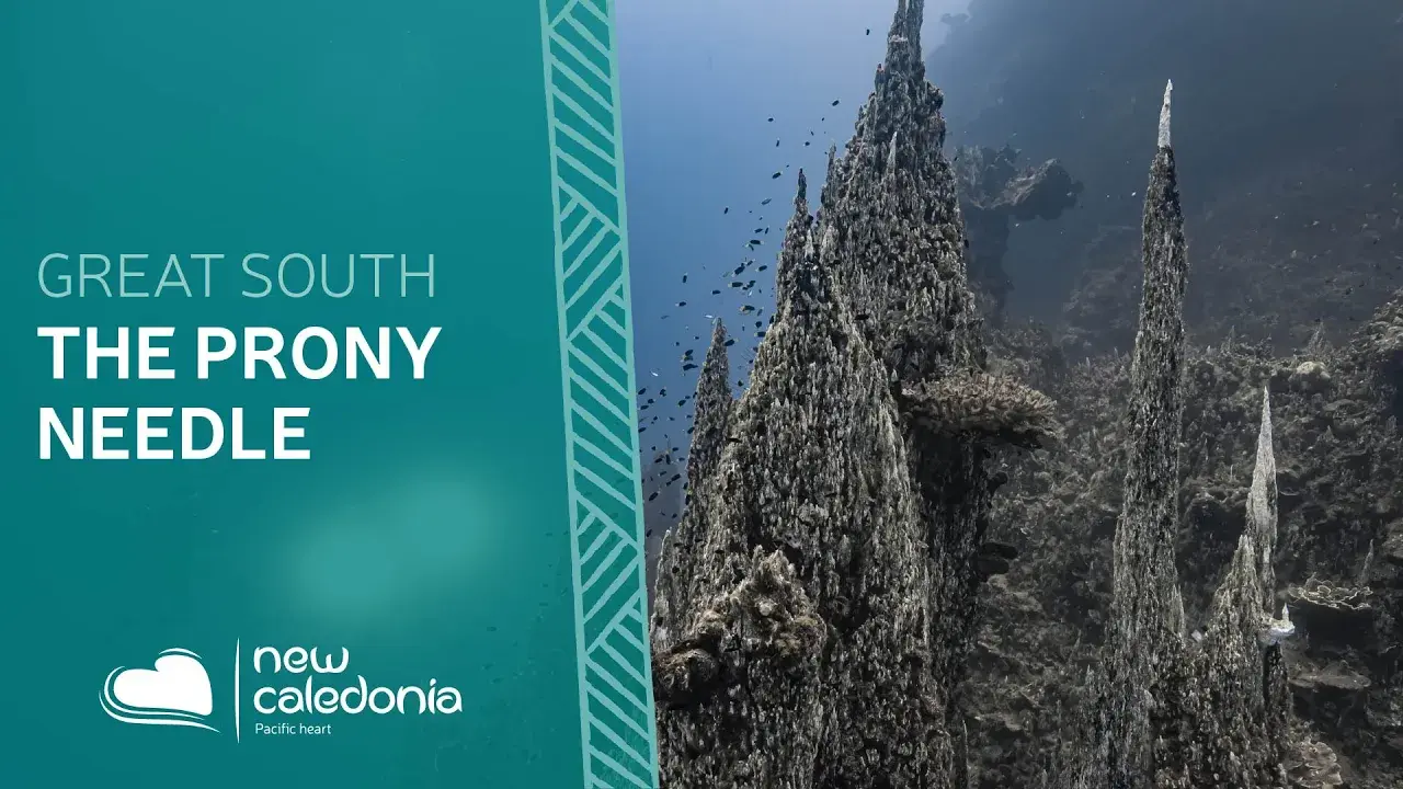 The needle of Prony: a unique natural phenomenon