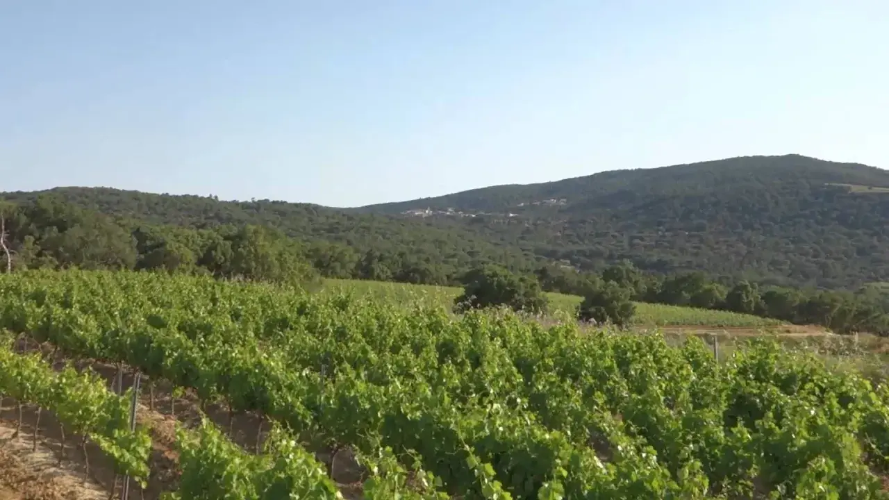le domaine la rouillère... vu du ciel!