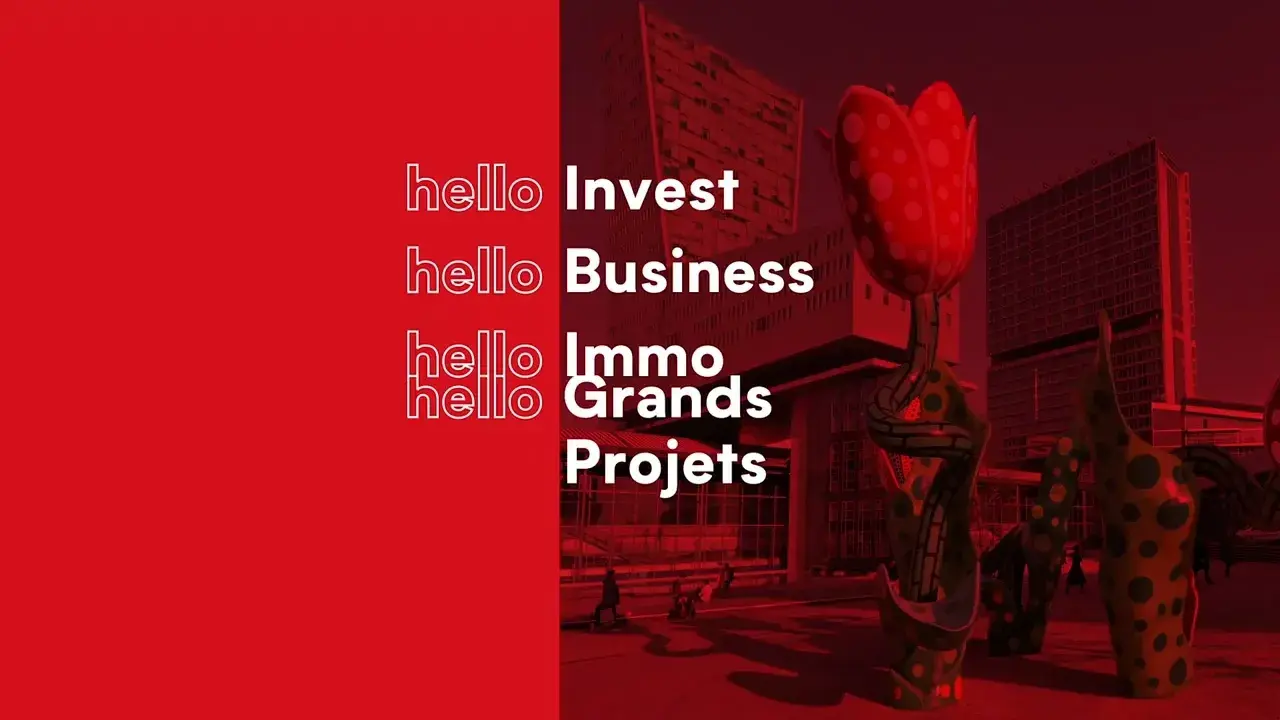 Hello Lille, L'agence d'attractivité