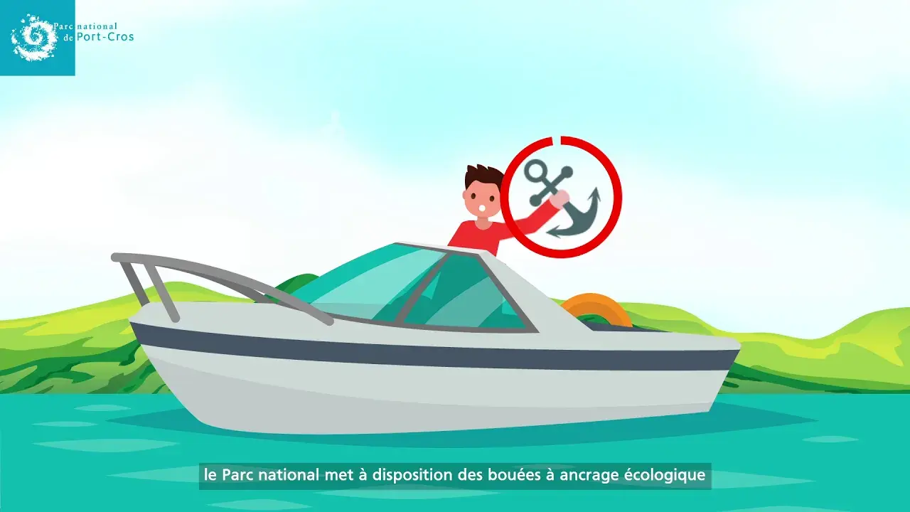 la zone de mouillage de bagaud (port-cros)