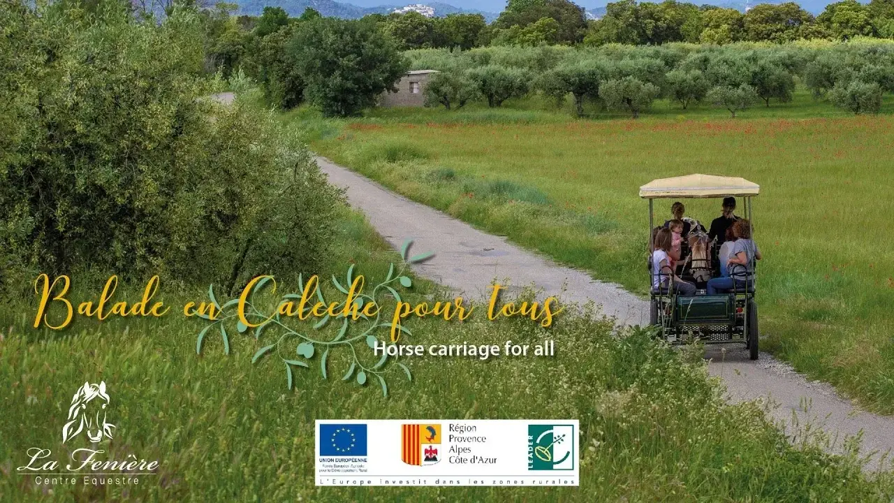 vidéo promenades en calèches