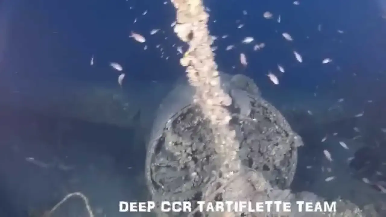 le dornier 24 à port cros