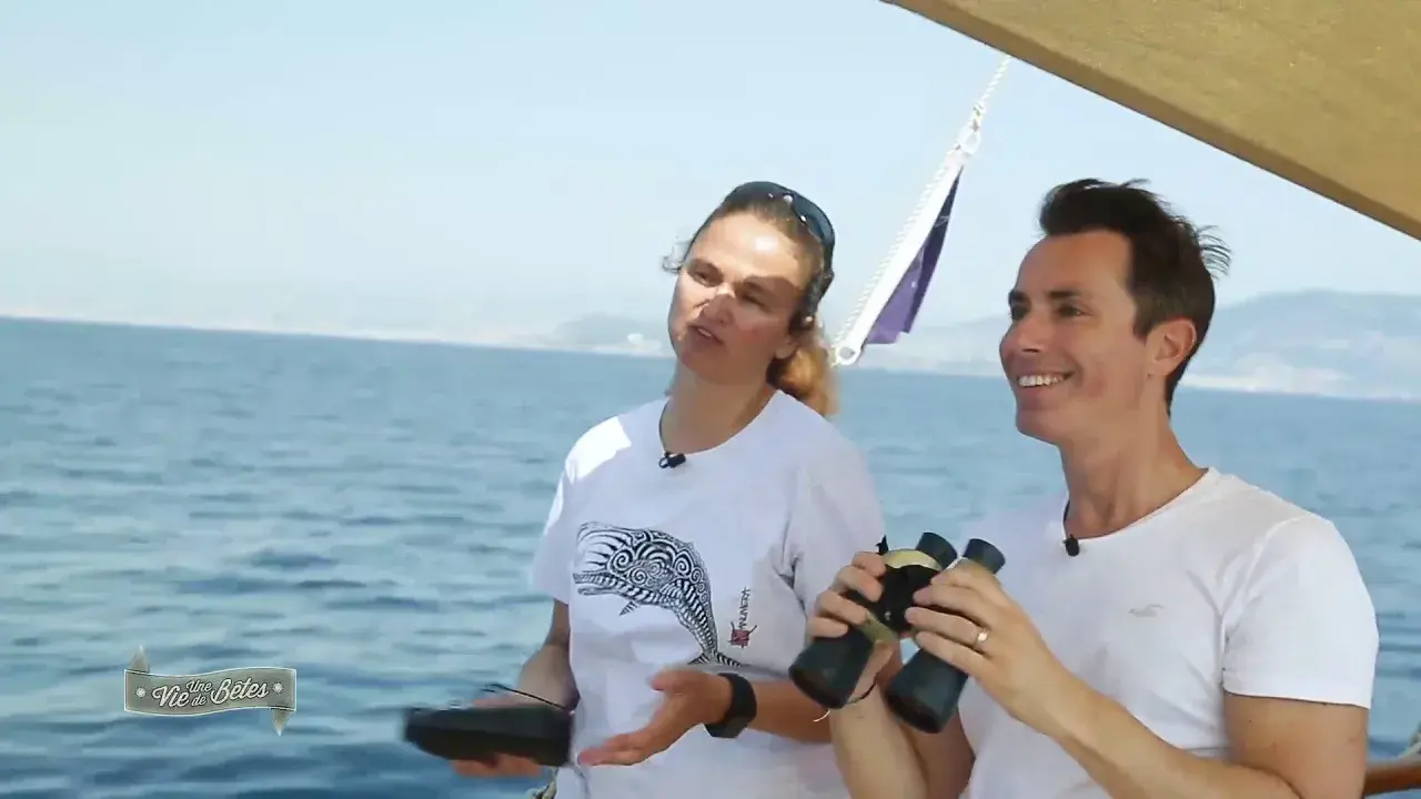 Titre de la vidéo manquant