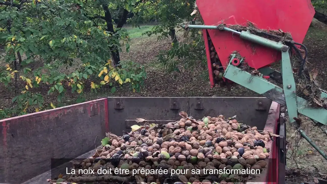 Périgord Attitude - La Noix du Périgord AOP