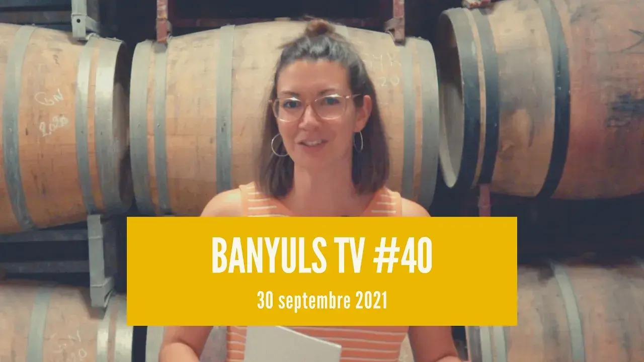 Banyuls TV #40 : special edition of the Grape Harvest Festival