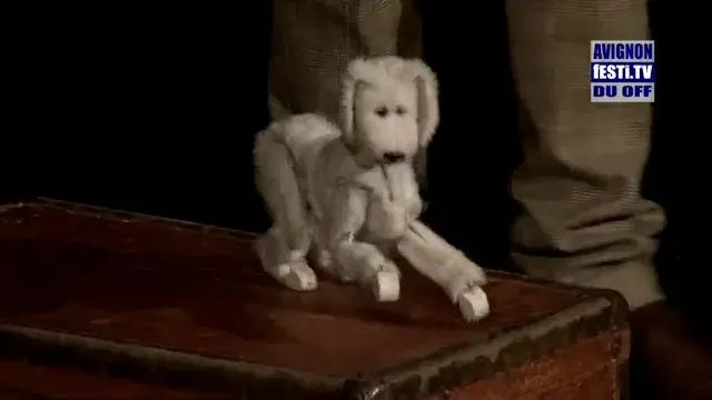 Y a pas de noyau dans le chocolat