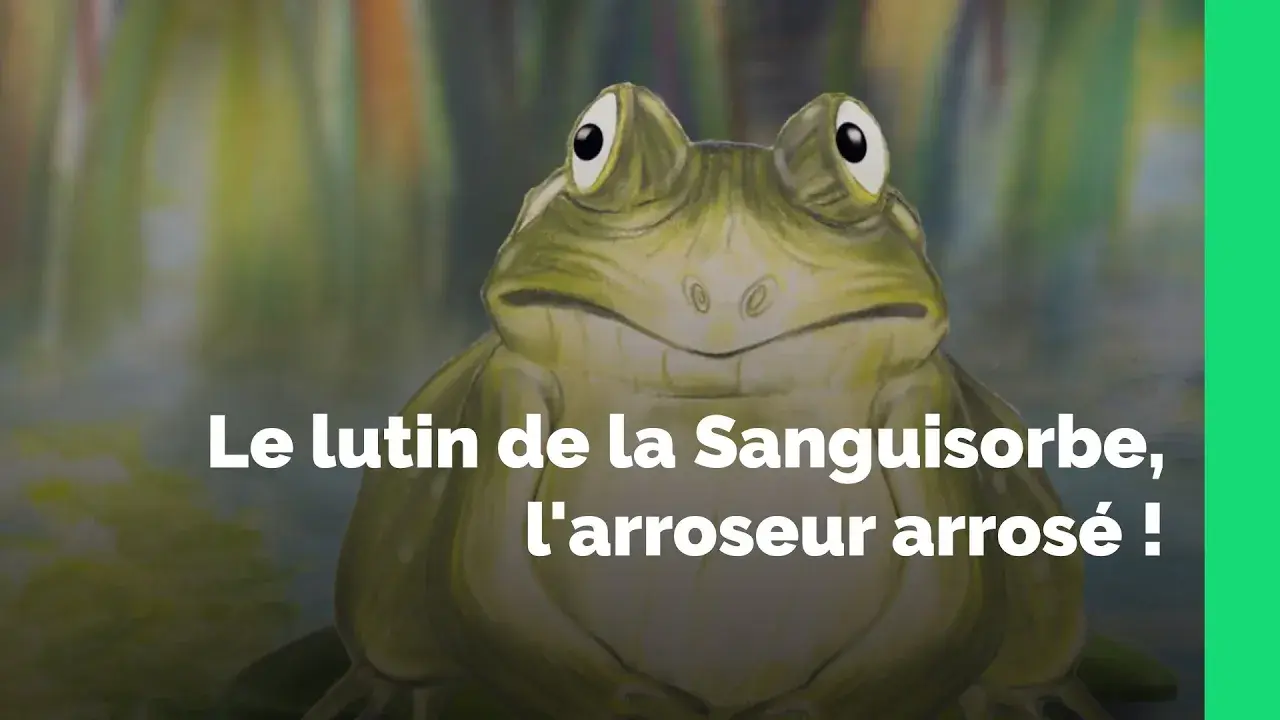 film lauréat du concours identité m