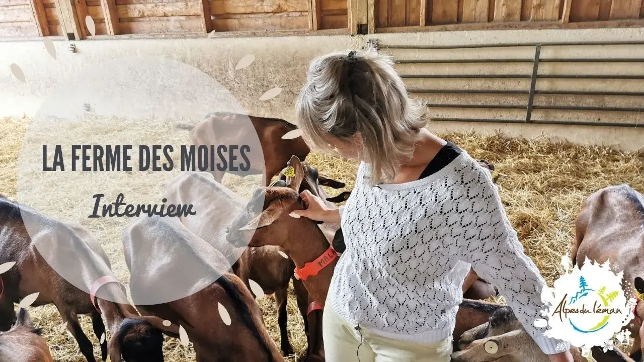la ferme des moises - interview