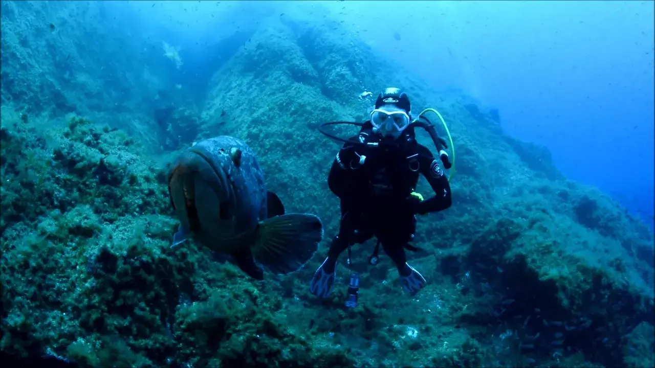 la gabinière comme si vous y plongiez !