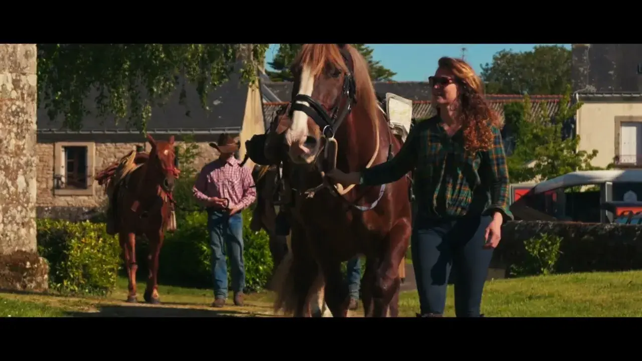 Roi Morvan - Terre de Cheval