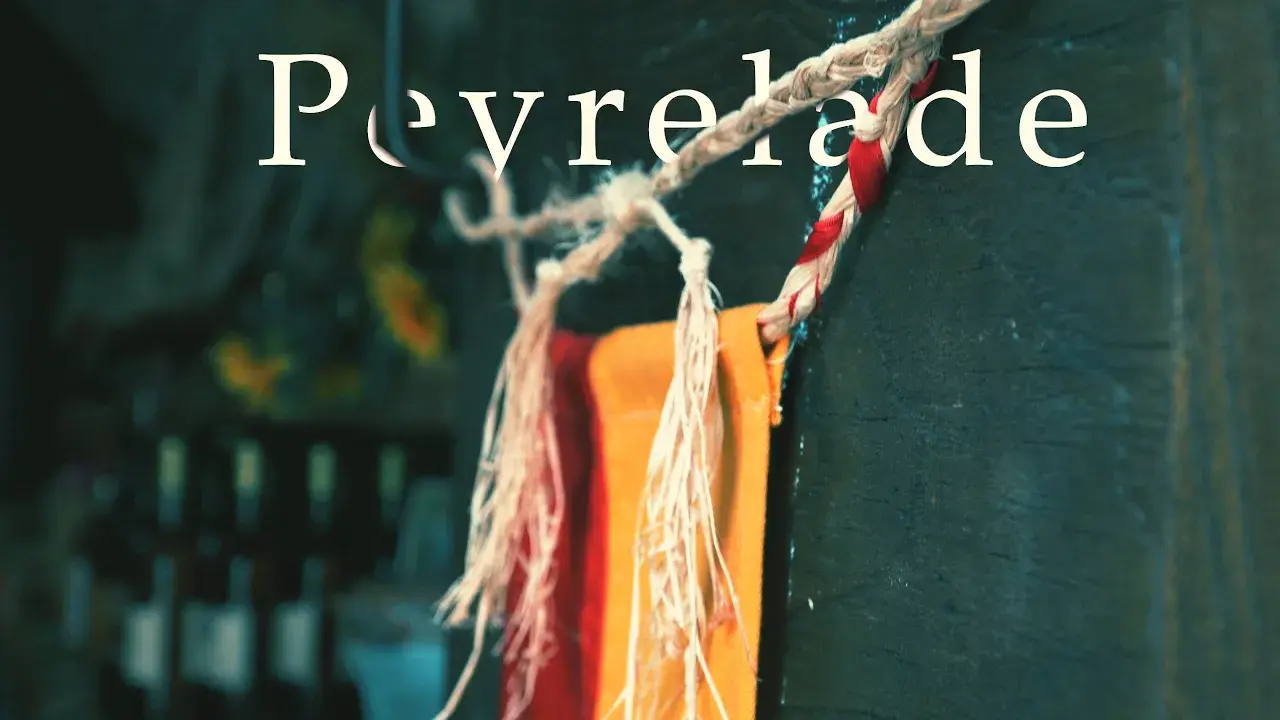 Le Château de Peyrelade - [ DJI Osmo Pocket & DJI Spark ]