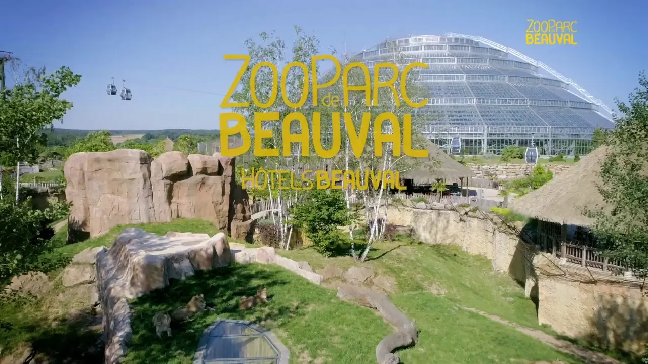 beauval, la passion animale !