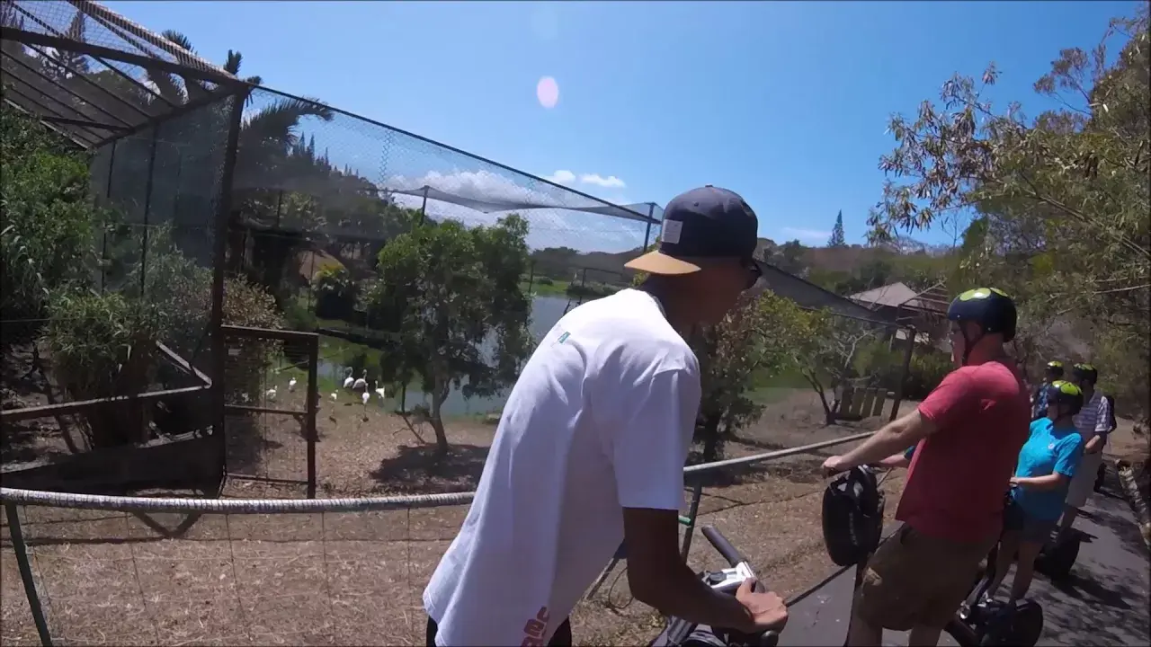 segway tour au parc forestier de nouméa