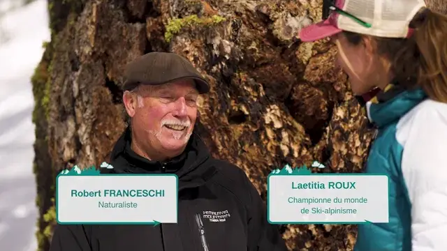 Interview Robert Franceschi